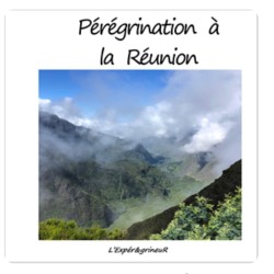 Livre Pérégrination à la...